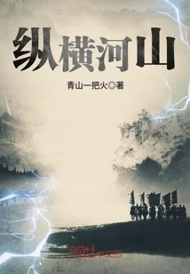 《纵横河山》小说封面
