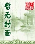 《夺鼎1617》小说封面