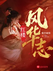 《红楼风华志》小说封面