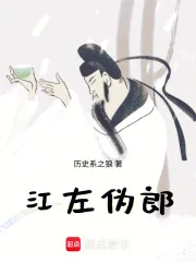 《江左伪郎》小说封面