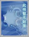 《认真就输了》小说封面