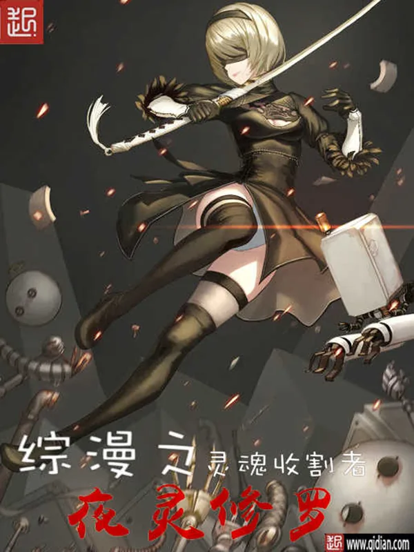 《综漫之灵魂收割者》小说封面