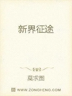 《新界征途》小说封面