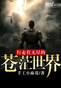 《行走在无尽的苍茫世界》小说封面