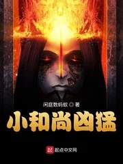 《小和尚凶猛》小说封面