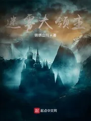 《迷雾大领主》小说封面