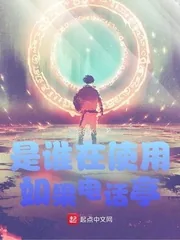 《是谁在使用如果电话亭》小说封面