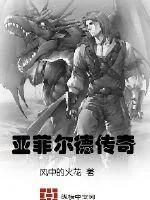 《亚菲尔德传奇》小说封面