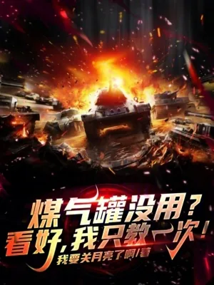 《煤气罐没用？看好，我只教一次！》小说封面