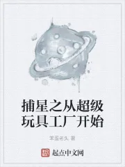 《捕星之从超级玩具工厂开始》小说封面