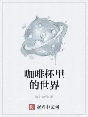 《咖啡杯里的世界》小说封面
