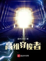 《高维穿梭者》小说封面