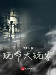 《玩命大玩家》小说封面