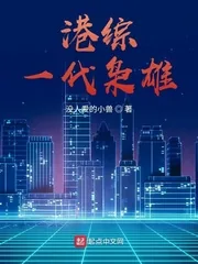 《港综一代枭雄》小说封面