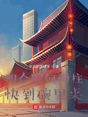 《四合院何雨柱：快到碗里来》小说封面