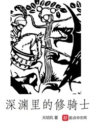 《深渊里的修骑士》小说封面
