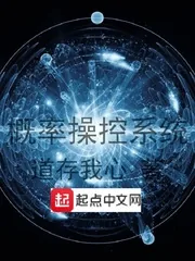 《概率操控系统》小说封面