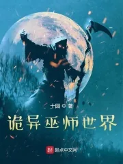 《诡异巫师世界》小说封面