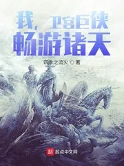 《我,卫宫巨侠,畅游诸天!》小说封面
