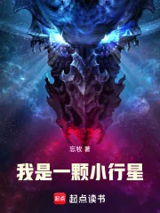 《我是一颗小行星》小说封面