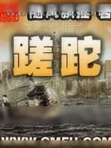 《蹉跎》小说封面