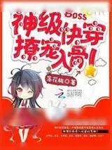 《神级快穿：Boss，撩宠入骨！》小说封面