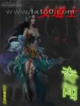 《女道士奇闻》小说封面