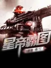 《星帝霸图》小说封面