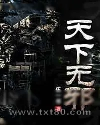 《天下无邪》小说封面