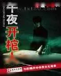 《午夜开棺人》小说封面