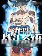 《龙珠战斗系统》小说封面