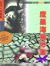 《鹰巢海角惨案》小说封面