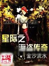 《星际之海盗传奇》小说封面