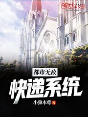 《都市无敌快递系统》小说封面