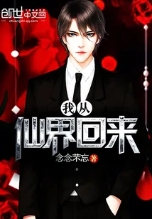 《我从仙界回来》小说封面