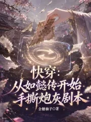 《快穿:从如懿传开始手撕炮灰剧本》小说封面
