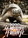 《百岁老龟，从被雷劈开始进化》小说封面