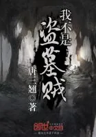 《我不是盗墓贼》小说封面