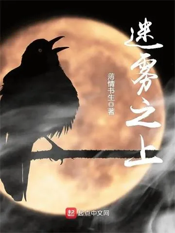 《迷雾之上》小说封面
