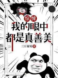 《惊悚，我的眼中都是真善美》小说封面