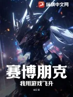 《赛博朋克:我用游戏飞升》小说封面