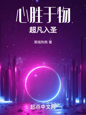 《心胜于物，超凡入圣》小说封面