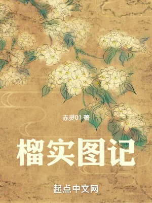 《榴实图记》小说封面