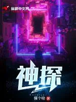 《神探》小说封面
