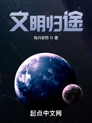 《文明归途》小说封面