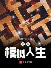 《无限模拟人生》小说封面