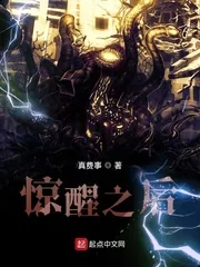 《惊醒之后》小说封面