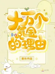 《十万个氪金的理由》小说封面