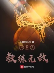 《NBA教练无敌》小说封面