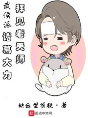 《武侯派诸葛大力拜见老天师》小说封面